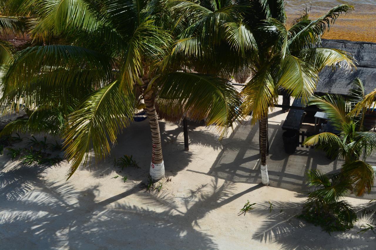 Hotel Arrecifes Costamaya マアウアル エクステリア 写真
